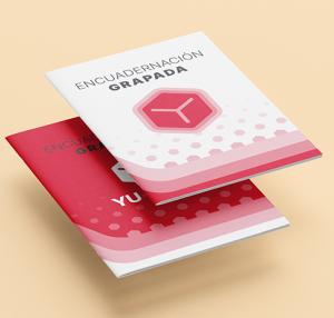 Catálogos y folletos con encuadernación grapada, impresos a todo color con acabado profesional